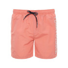 SUGAR CORAL